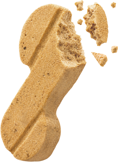 Func&Fun Freeze-Dried Protein Bar Immune Support - Product Detail